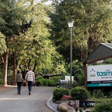 Big4 Tasman Holiday Parks - Bright Exteriör bild